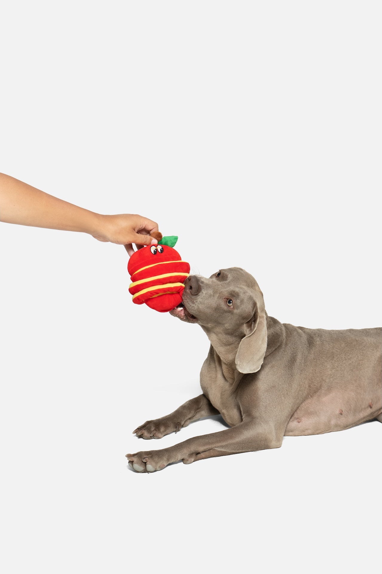 Pupsooh - APPLE PEEL