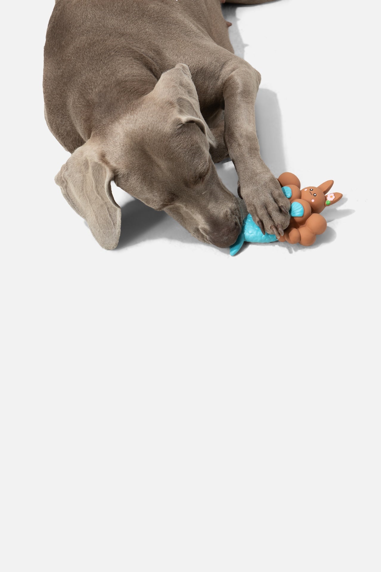 Pupsooh - MERMAID BUNNY