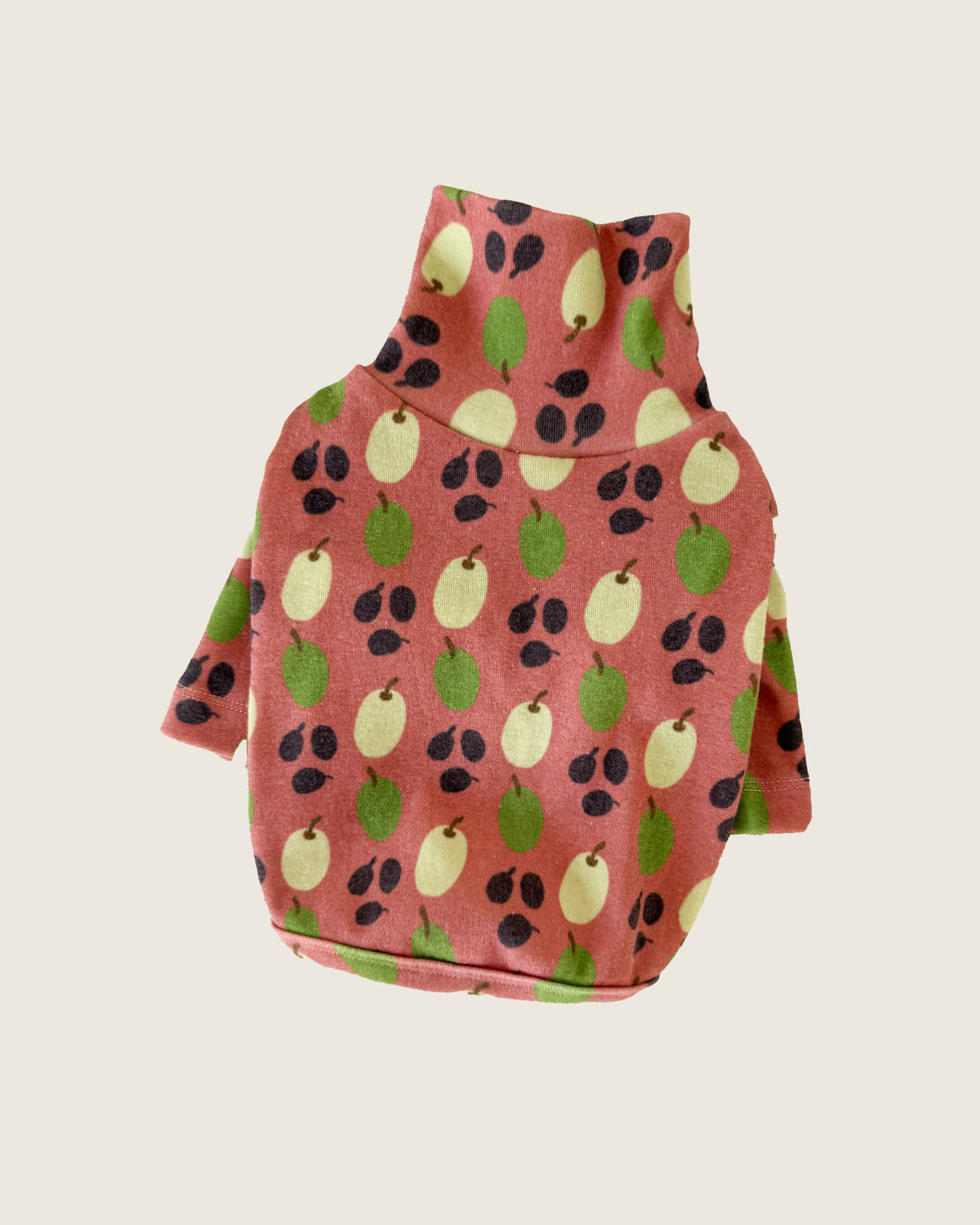 OLIVE TURTLENECK TOP | Coral