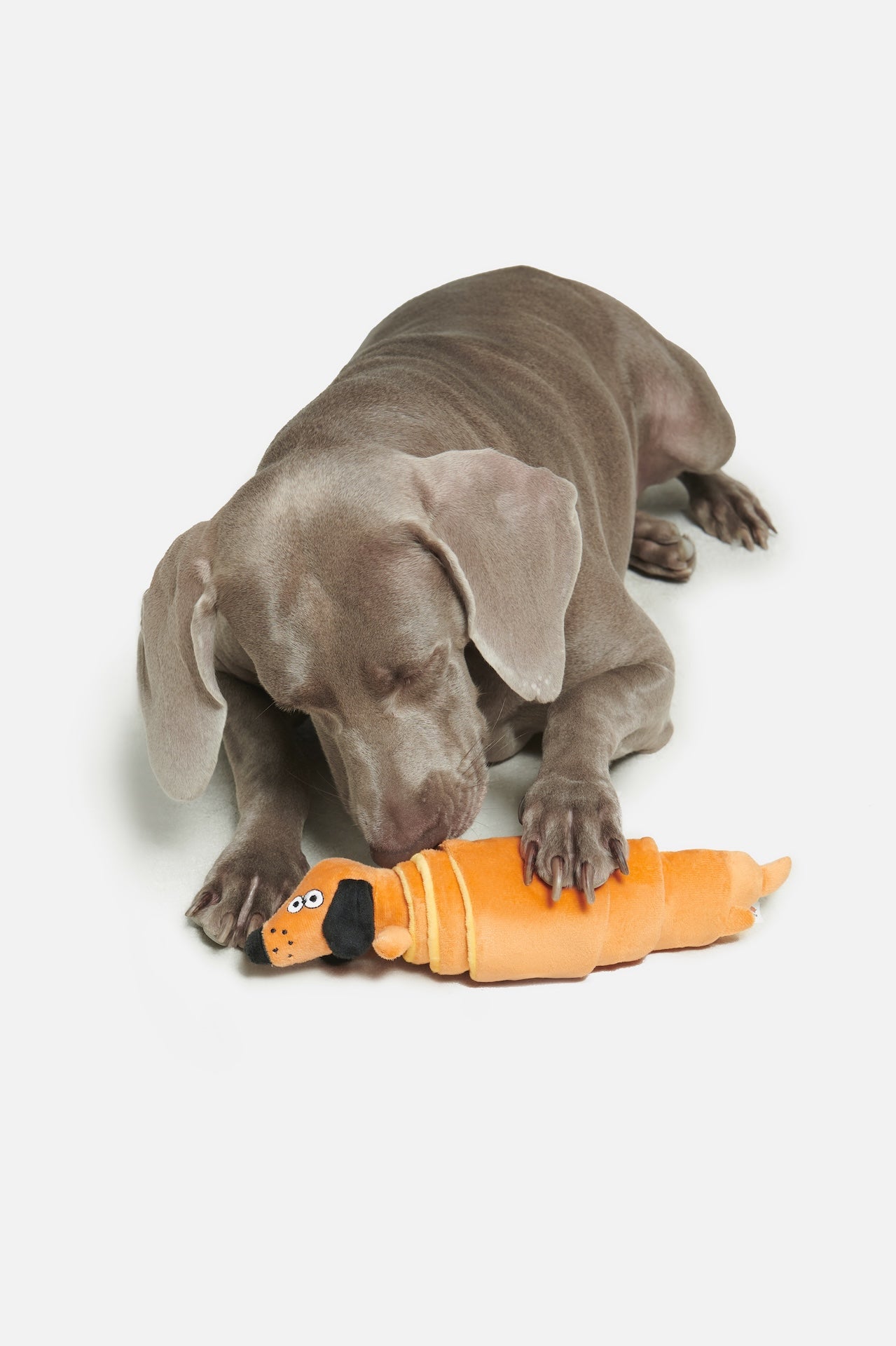 Pupsooh - LE CROISSANT PUP