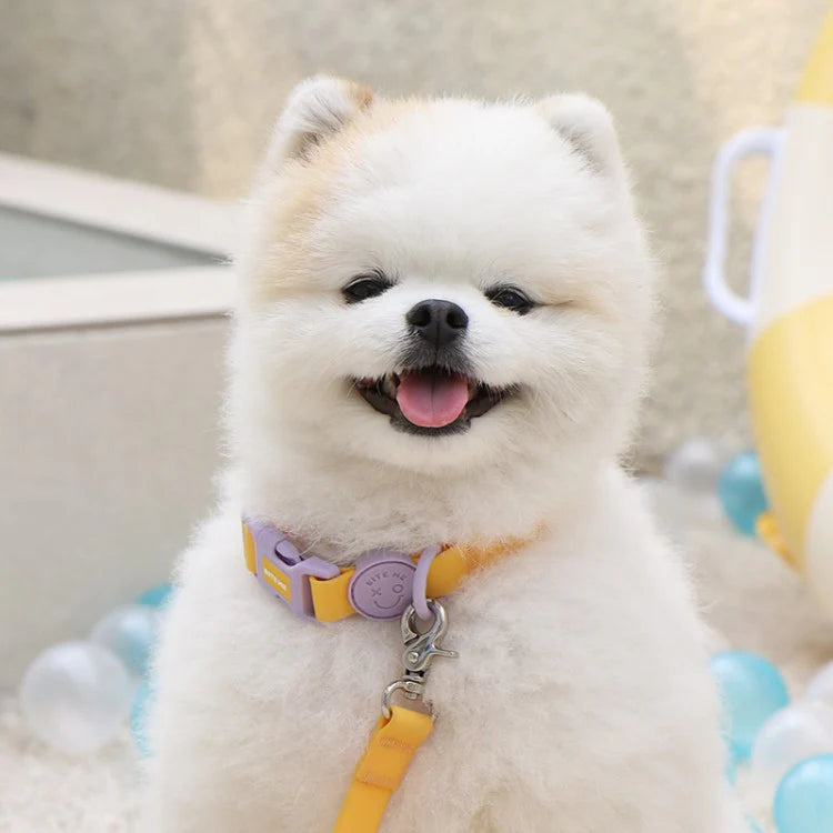 Bite Me - MACARON WATERPROOF LEASH