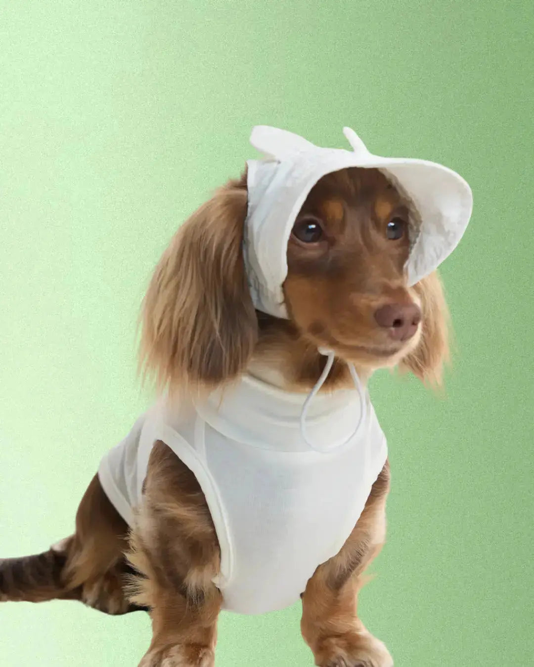 CUDS DOG COOLING HAT | White Bunny
