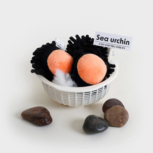 SEA URCHIN