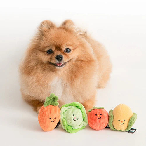 Bite Me - VEGETABLE BALL TOY (2pcs)