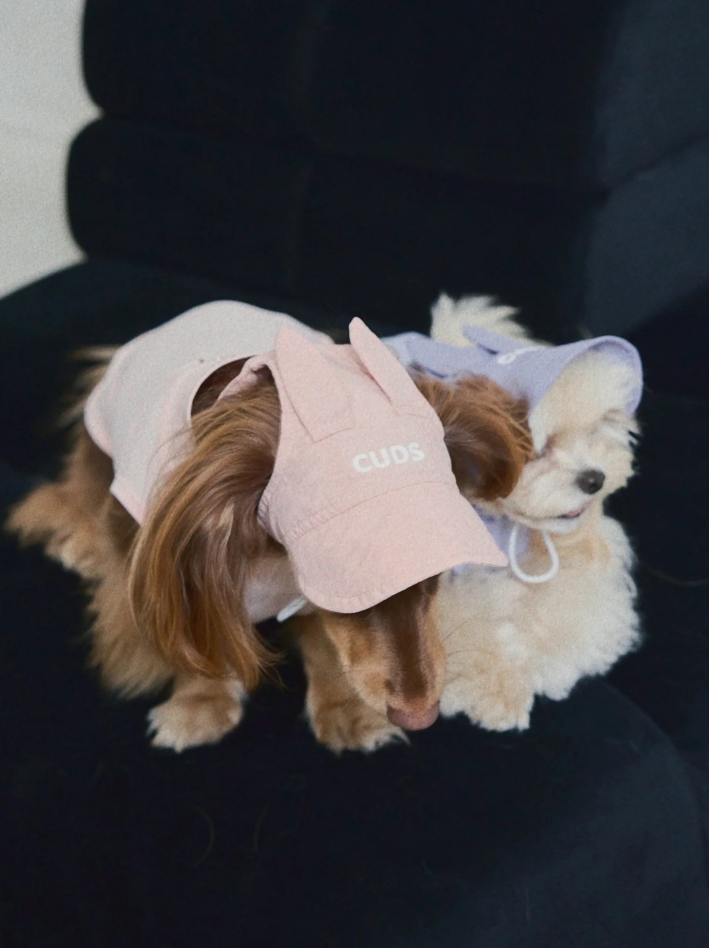 CUDS DOG COOLING HAT | Pink Bunny