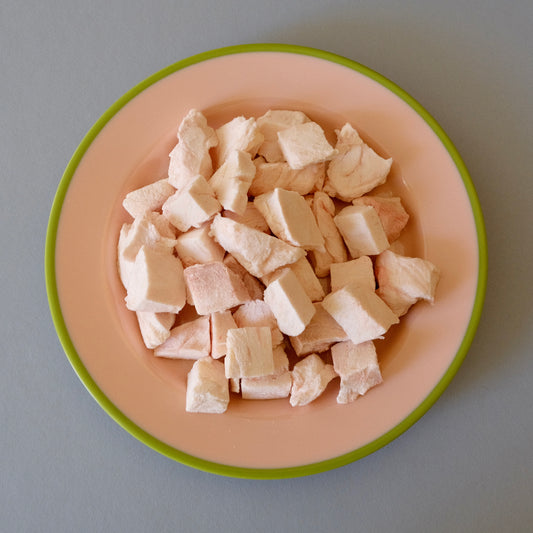 Crocodile Fillet