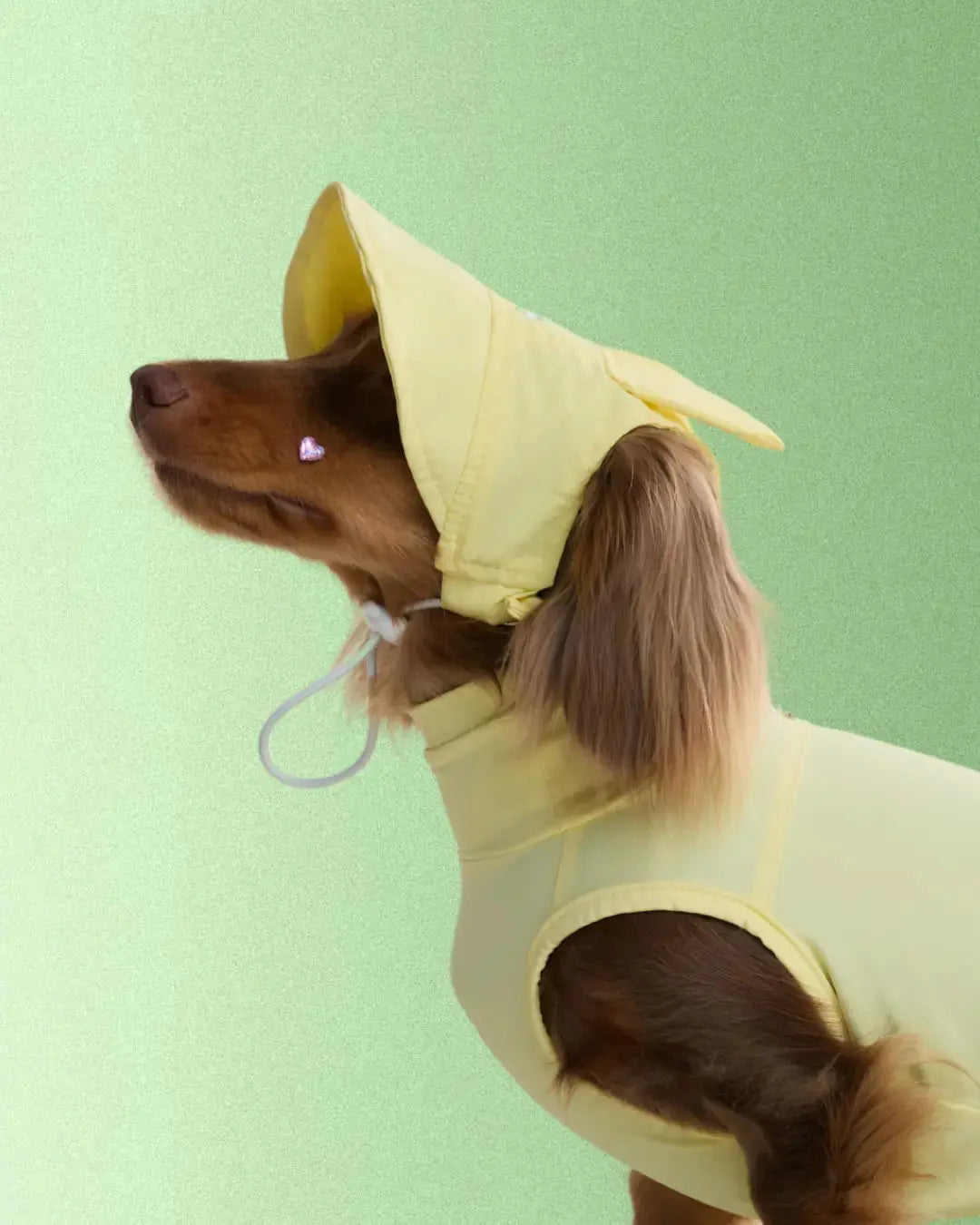 CUDS DOG COOLING HAT | Yellow Bunny