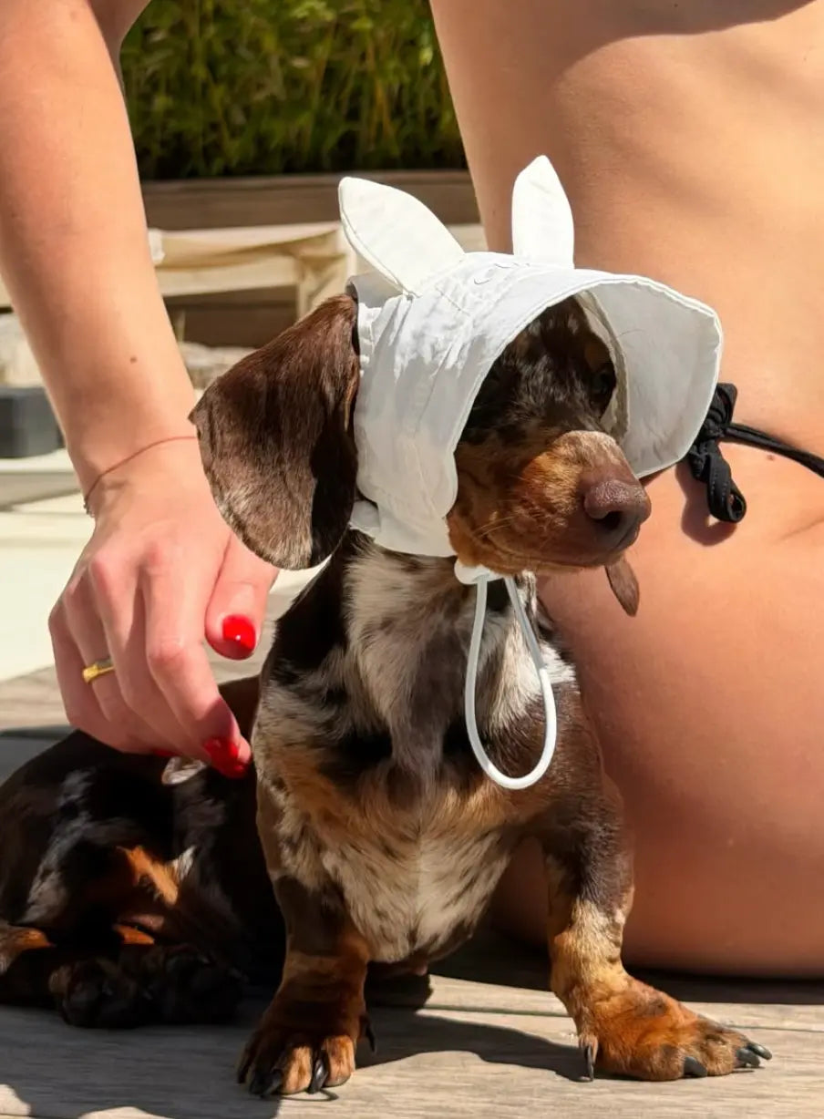 CUDS DOG COOLING HAT | White Bunny