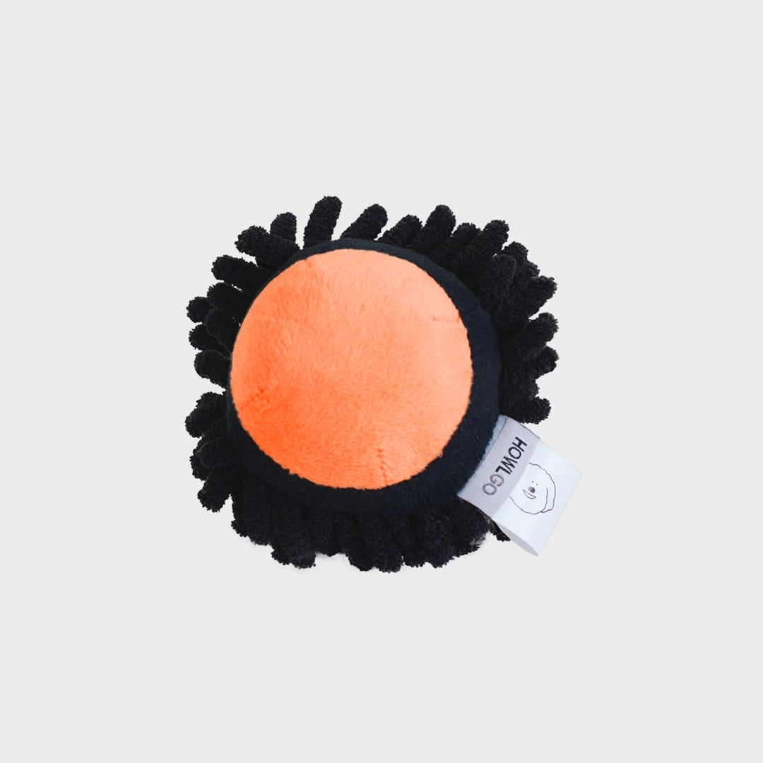 SEA URCHIN