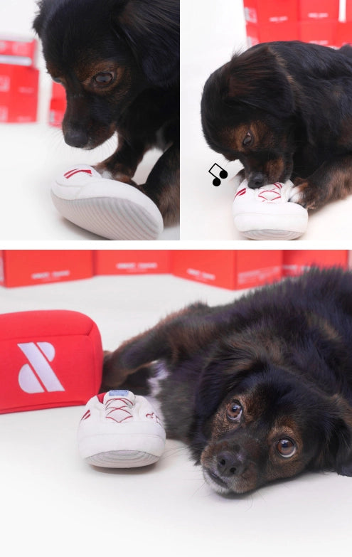 CASESTUDY SHOE BOX