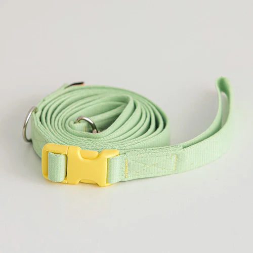 Bite Me - CANDY CRAYON LEASH