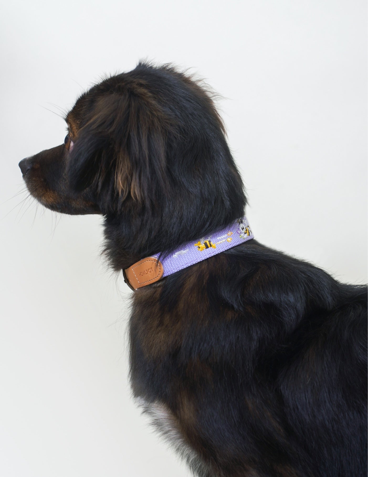 ADVENTURE COLLAR | Lilac