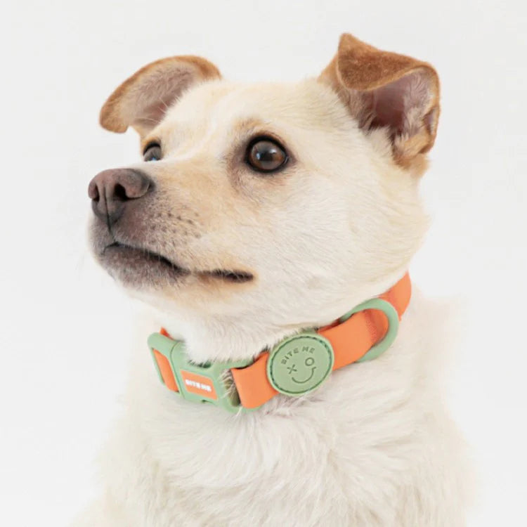 Bite Me - MACARON WATERPROOF COLLAR