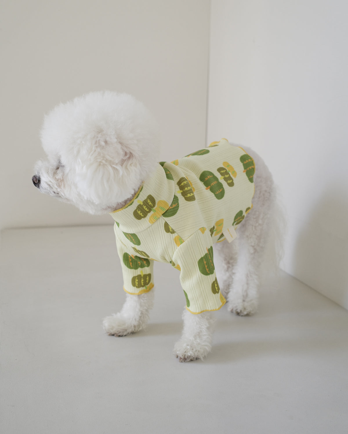 PUMPKIN LETTUCE TEE