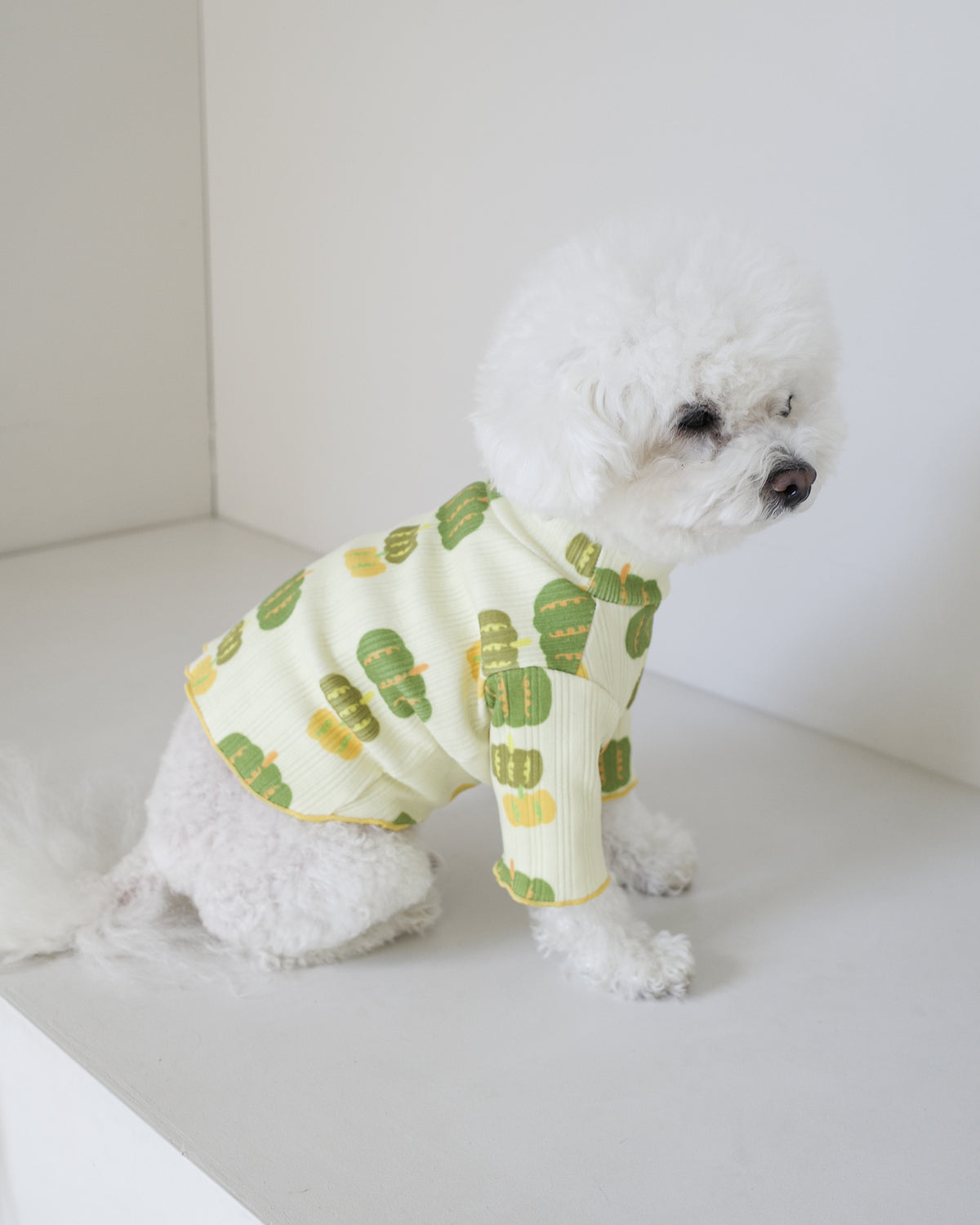 PUMPKIN LETTUCE TEE