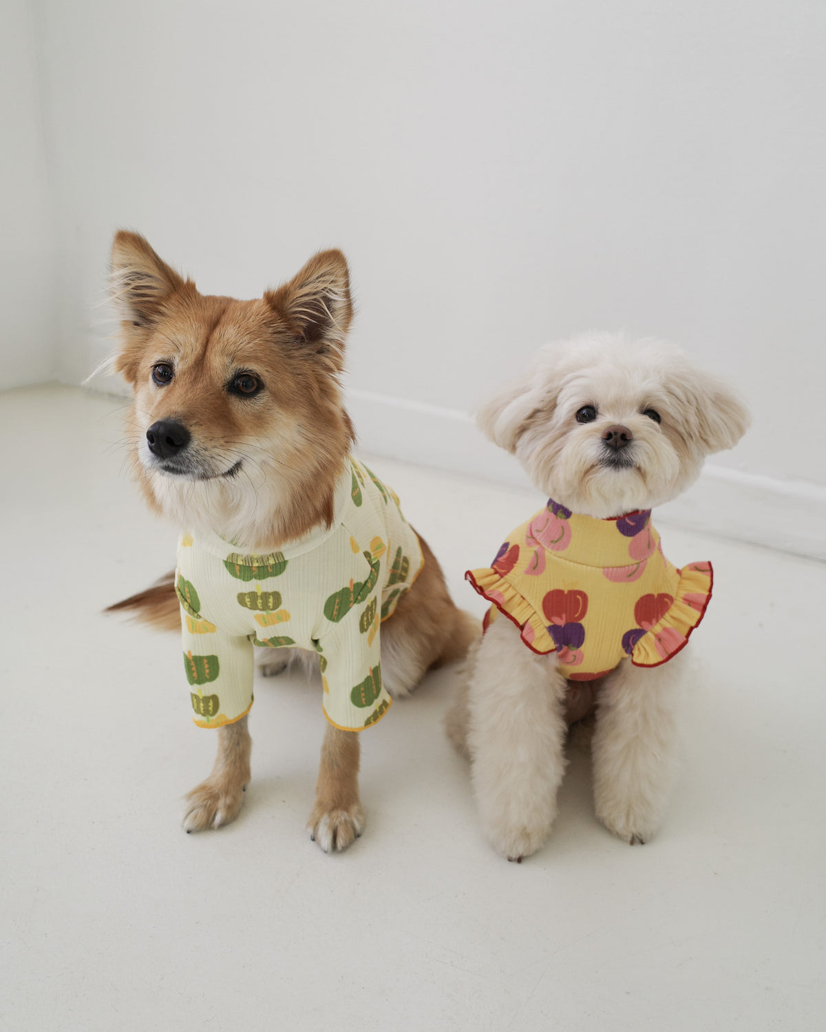 PUMPKIN LETTUCE TEE