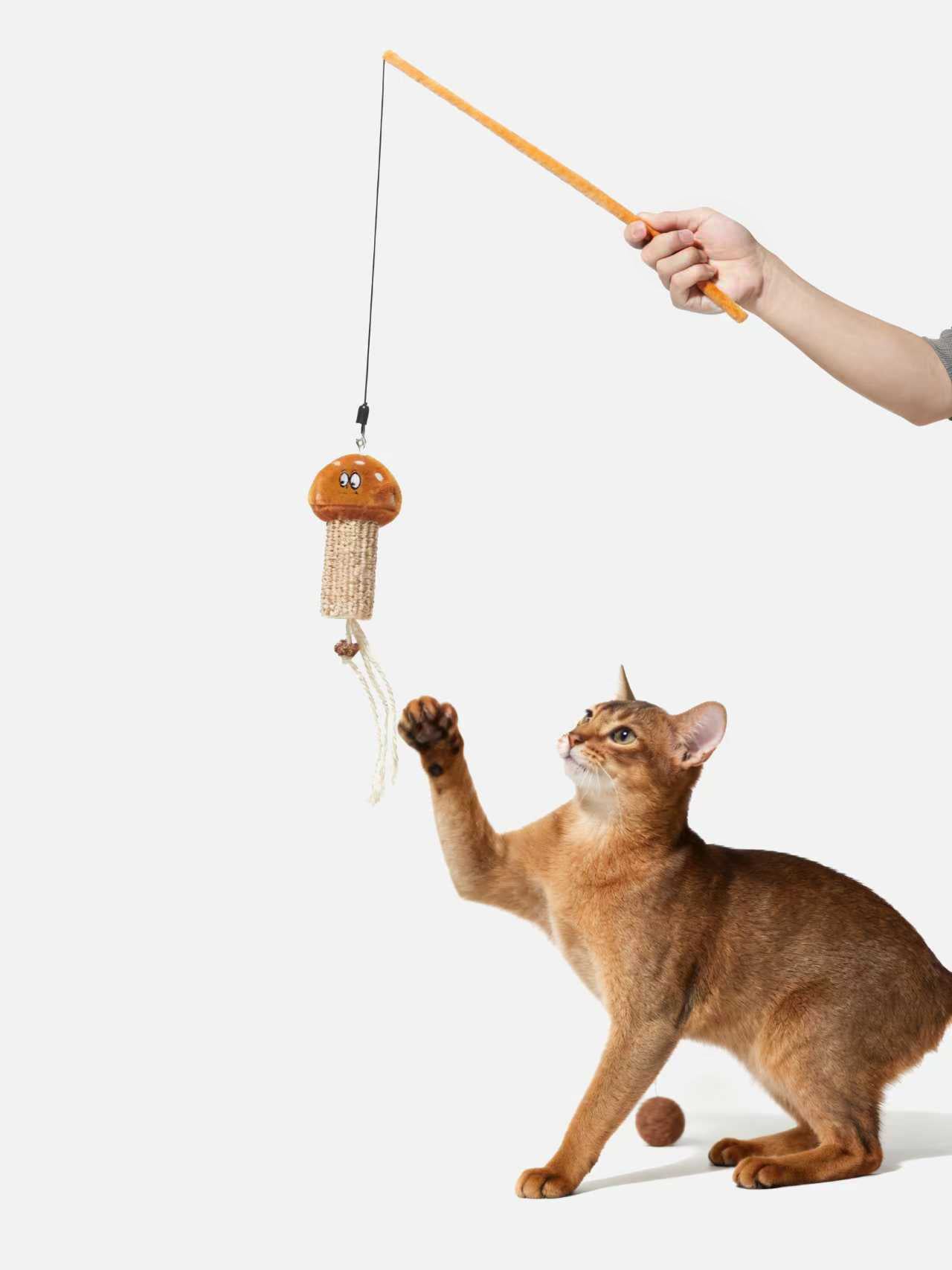 Pupsooh - SHROOM CAT TEASER