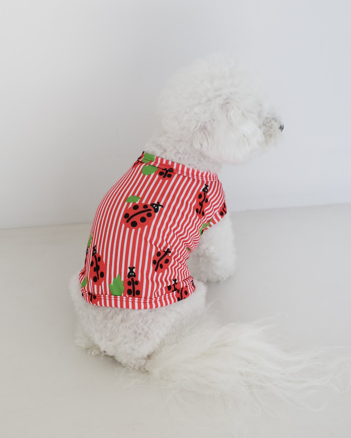 Côte à Côte - LADYBUG SUMMER SHIELD RUNNING TEE