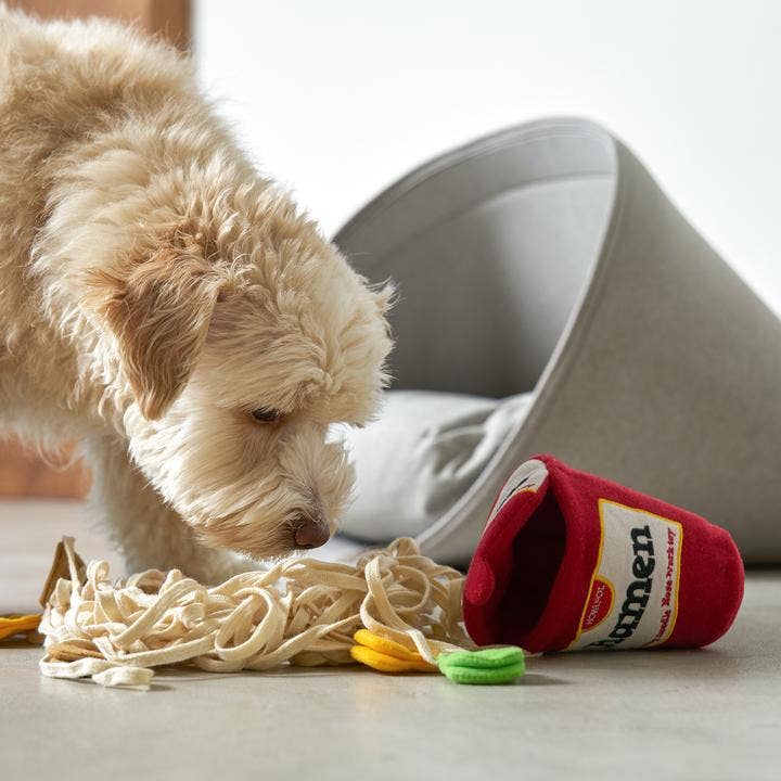 RAMON NOODLE