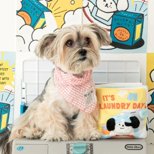 Bite Me - IT'S LAUNDRY DAY! PLAYBOOK