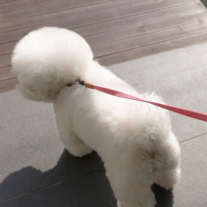 WE ARE TIGHT RIBBON LEASH | Cherry Twizzle