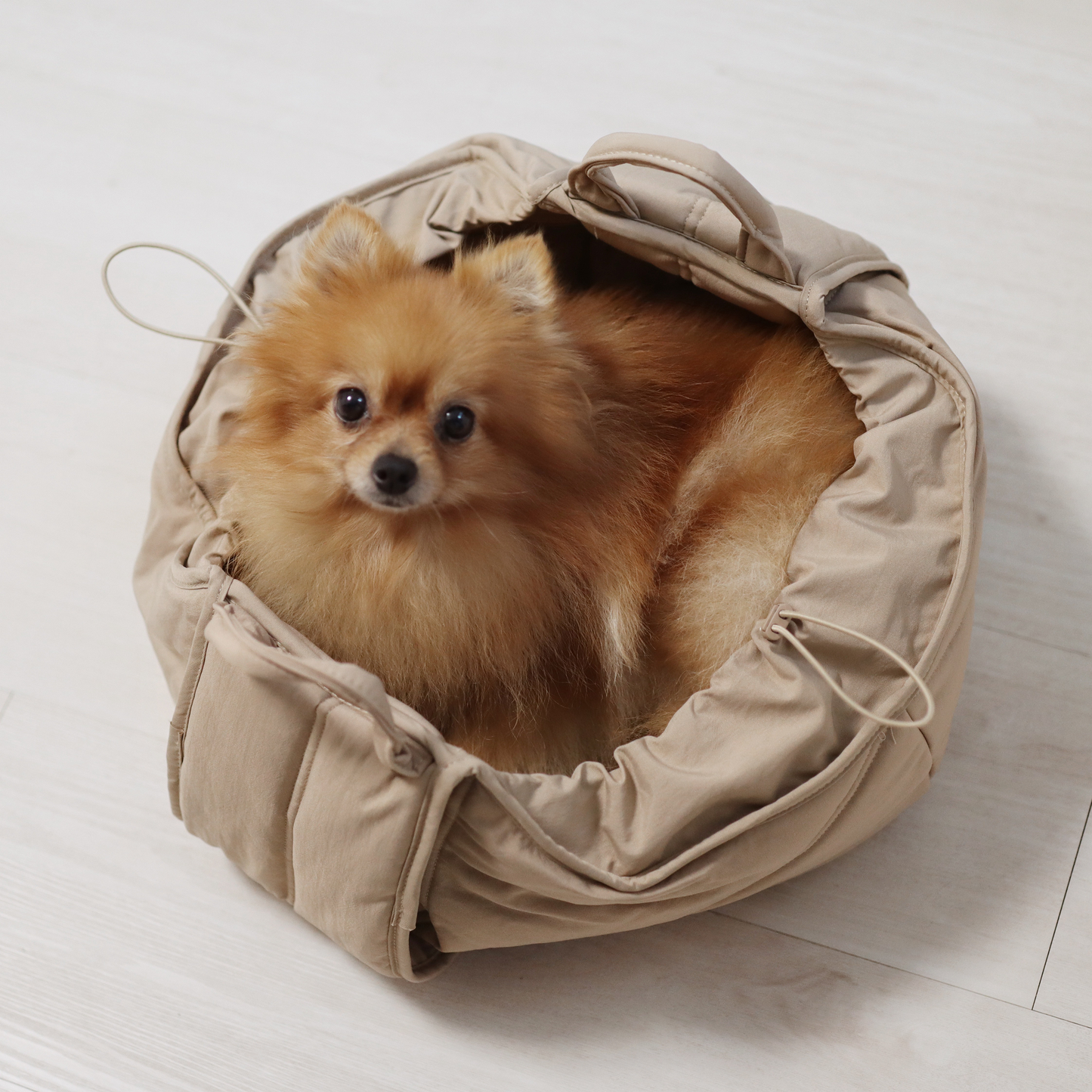 Lambwolf Collective - OLLA | Petite Pet Carrycot