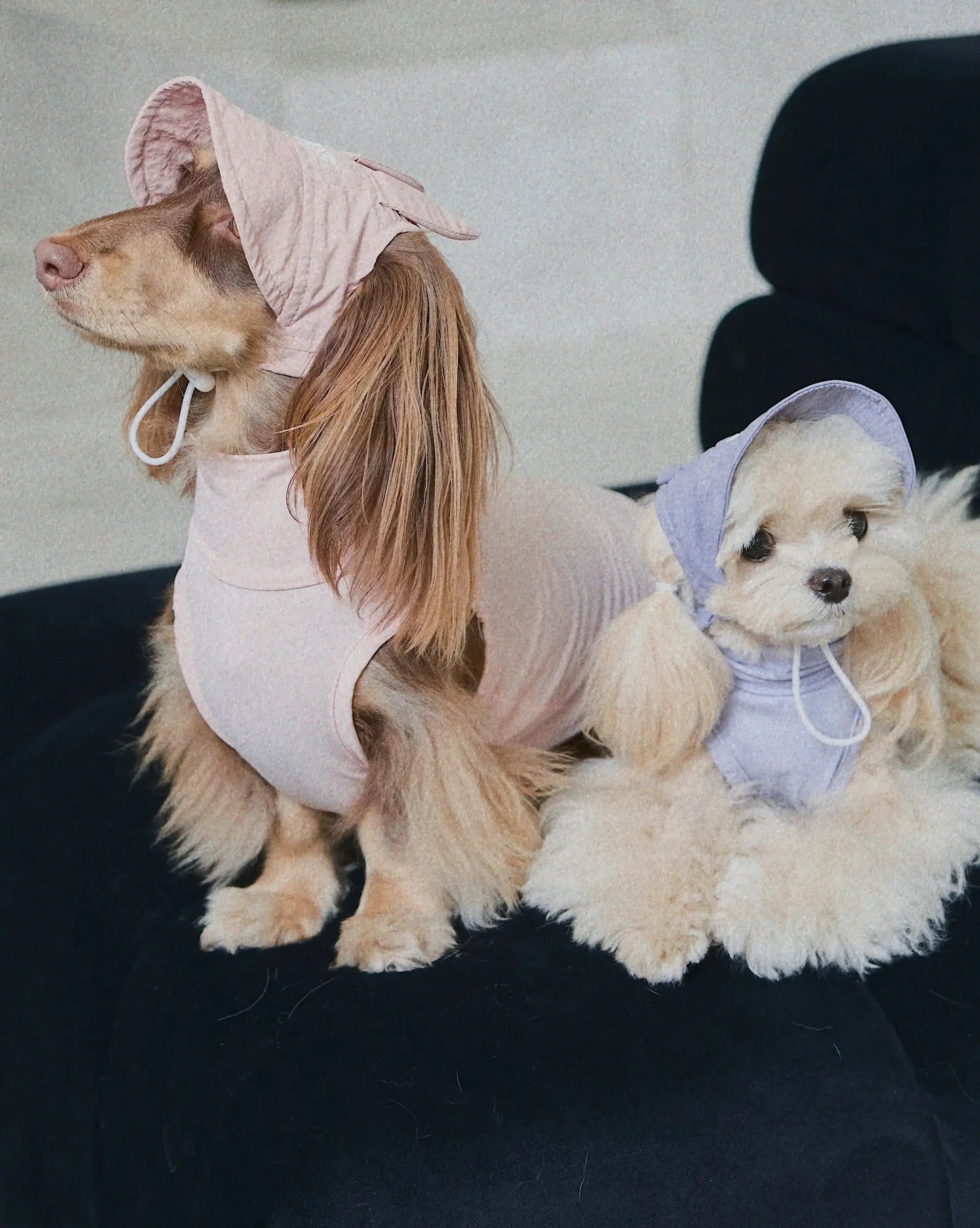 CUDS DOG COOLING HAT | Pink Bunny