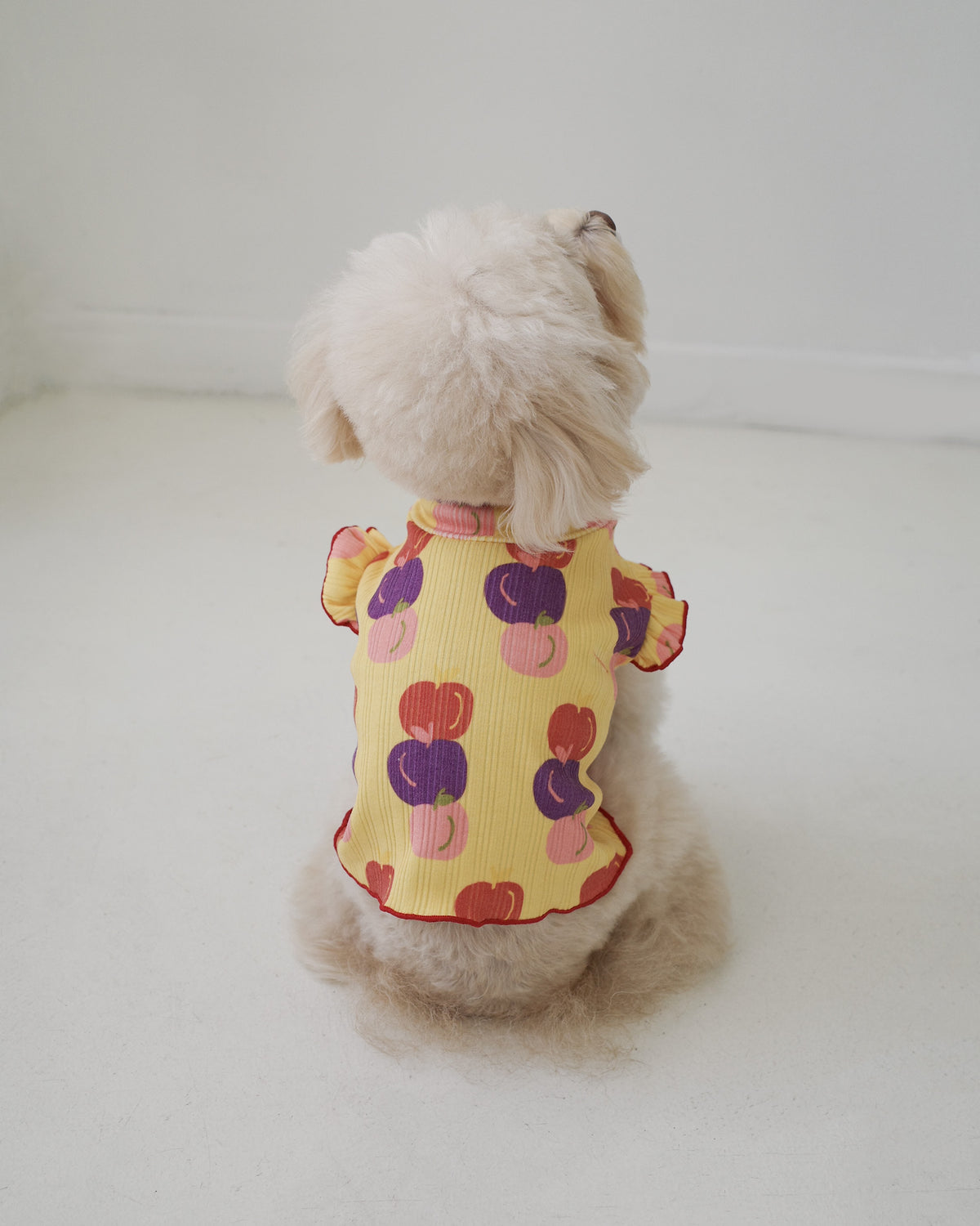 FRUIT LETTUCE TEE