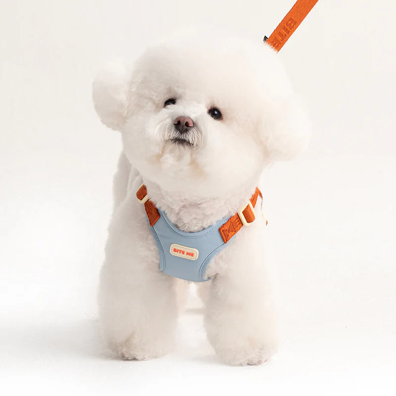 Bite Me - COMFORT LEASH V2
