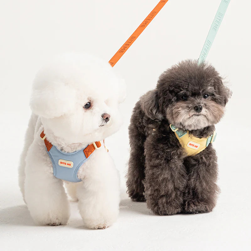 Bite Me - COMFORT LEASH V2