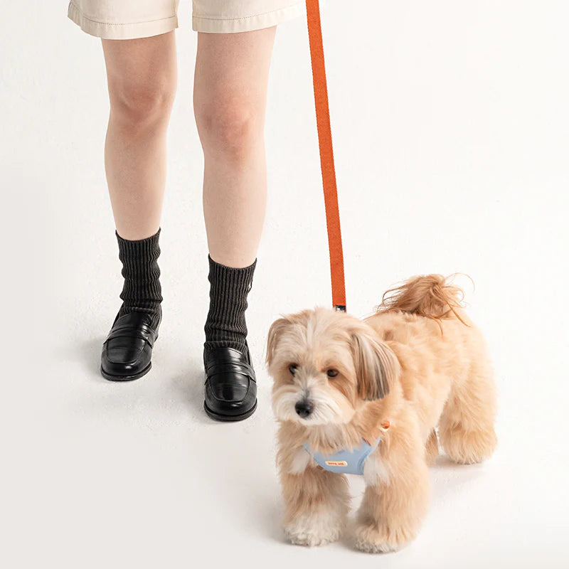 Bite Me - COMFORT LEASH V2