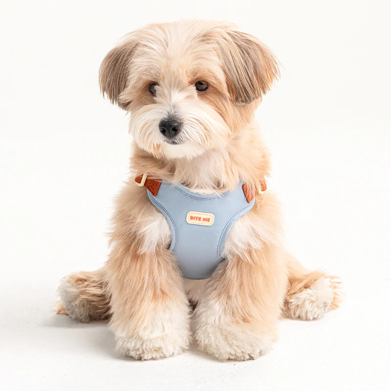 COMFORT HARNESS V2