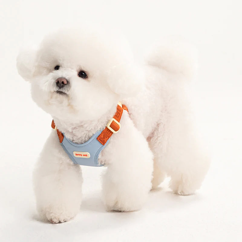 COMFORT HARNESS V2