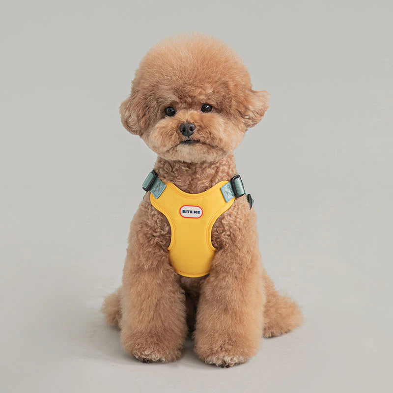 COMFORT HARNESS V2