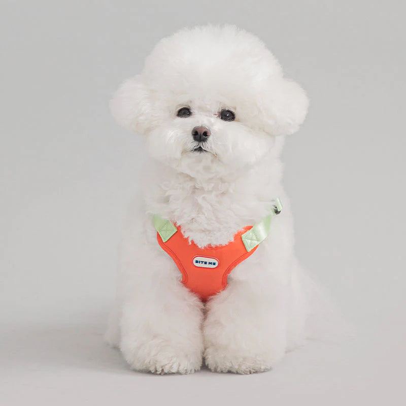 COMFORT HARNESS V2