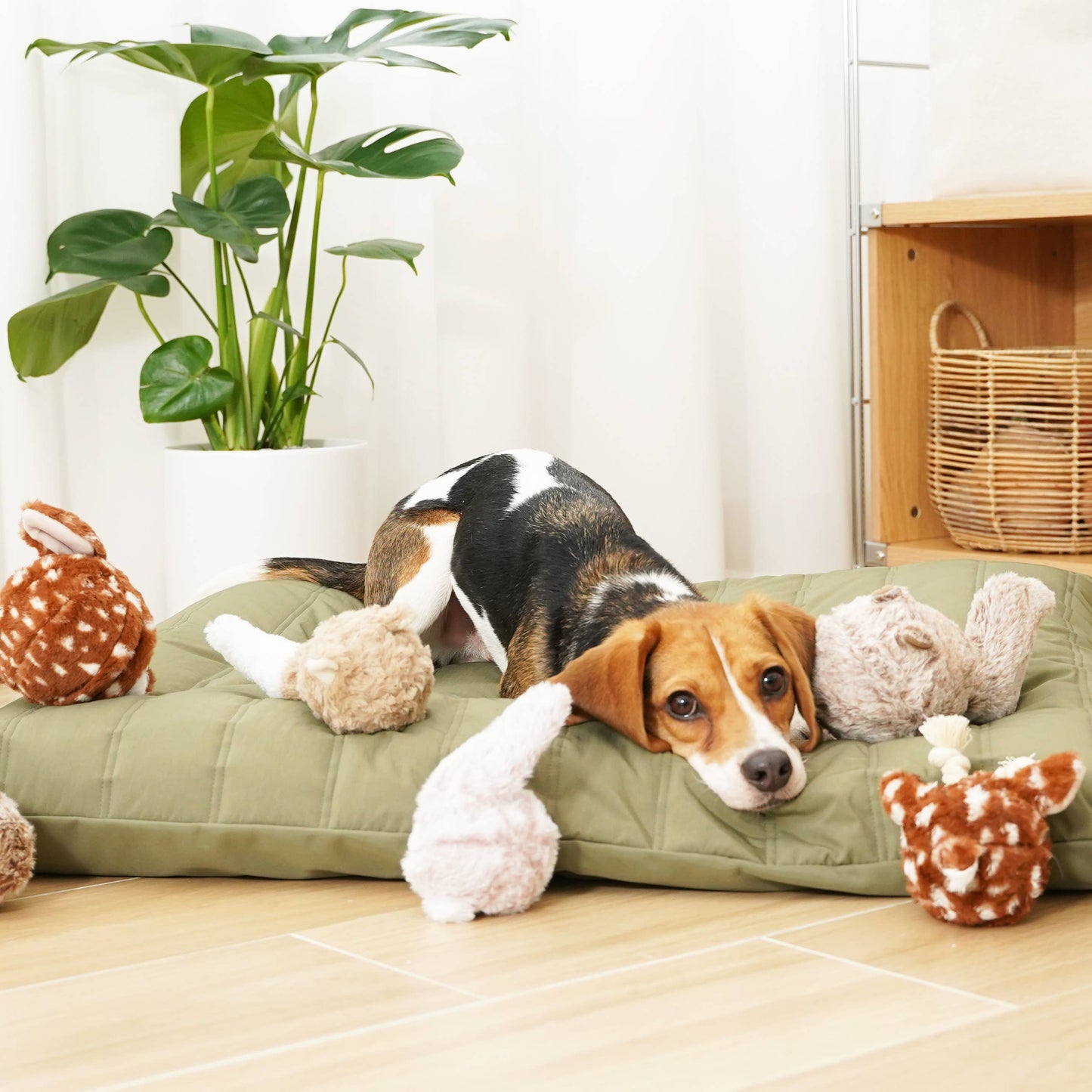 Lambwolf Collective - BUNNY POP