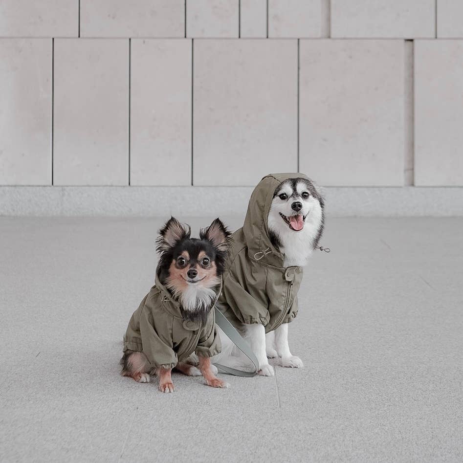 Lambwolf Collective - BROOKLYN