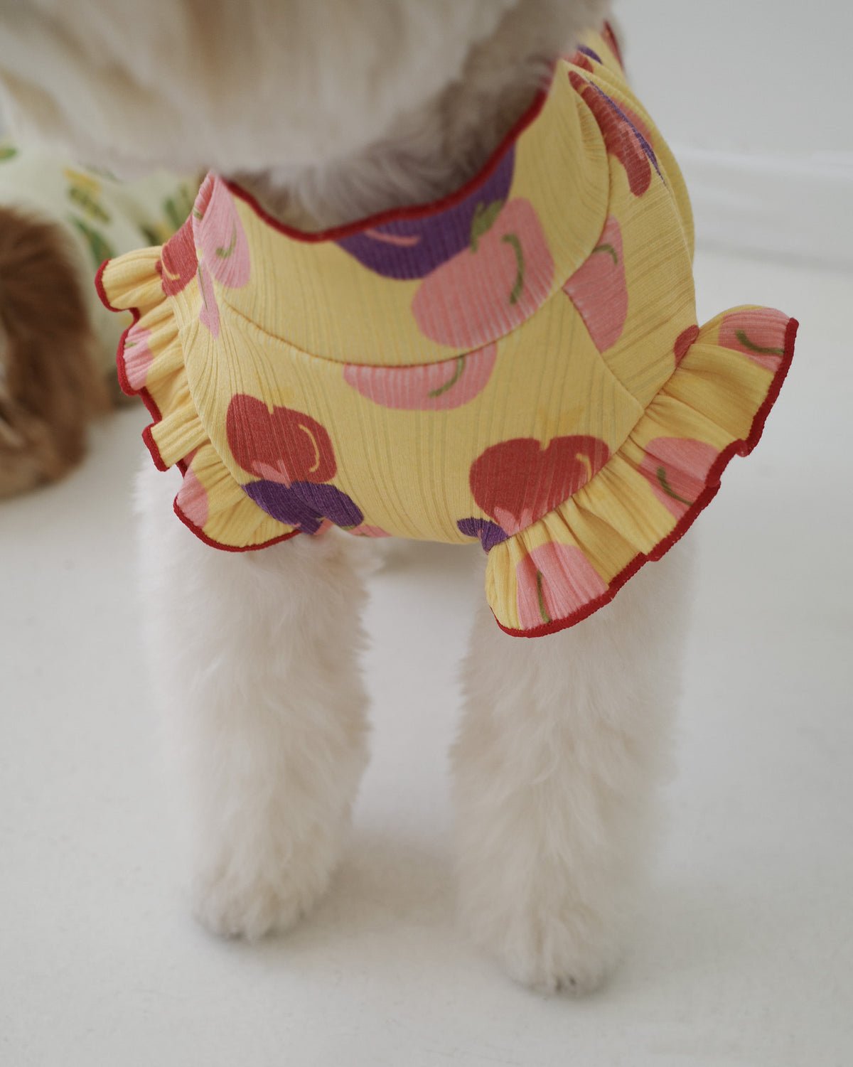 FRUIT LETTUCE TEE