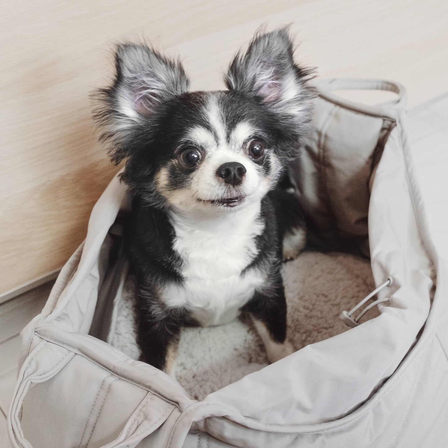 Lambwolf Collective - OLLA | Petite Pet Carrycot