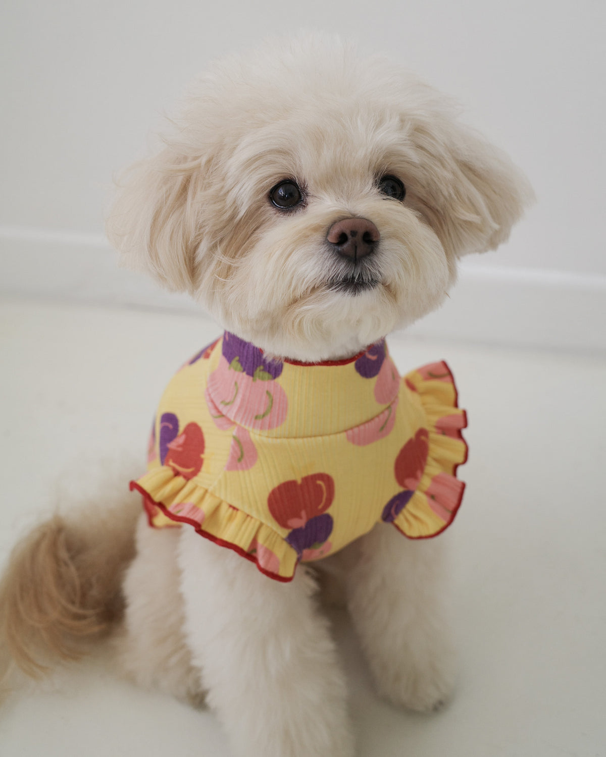 FRUIT LETTUCE TEE