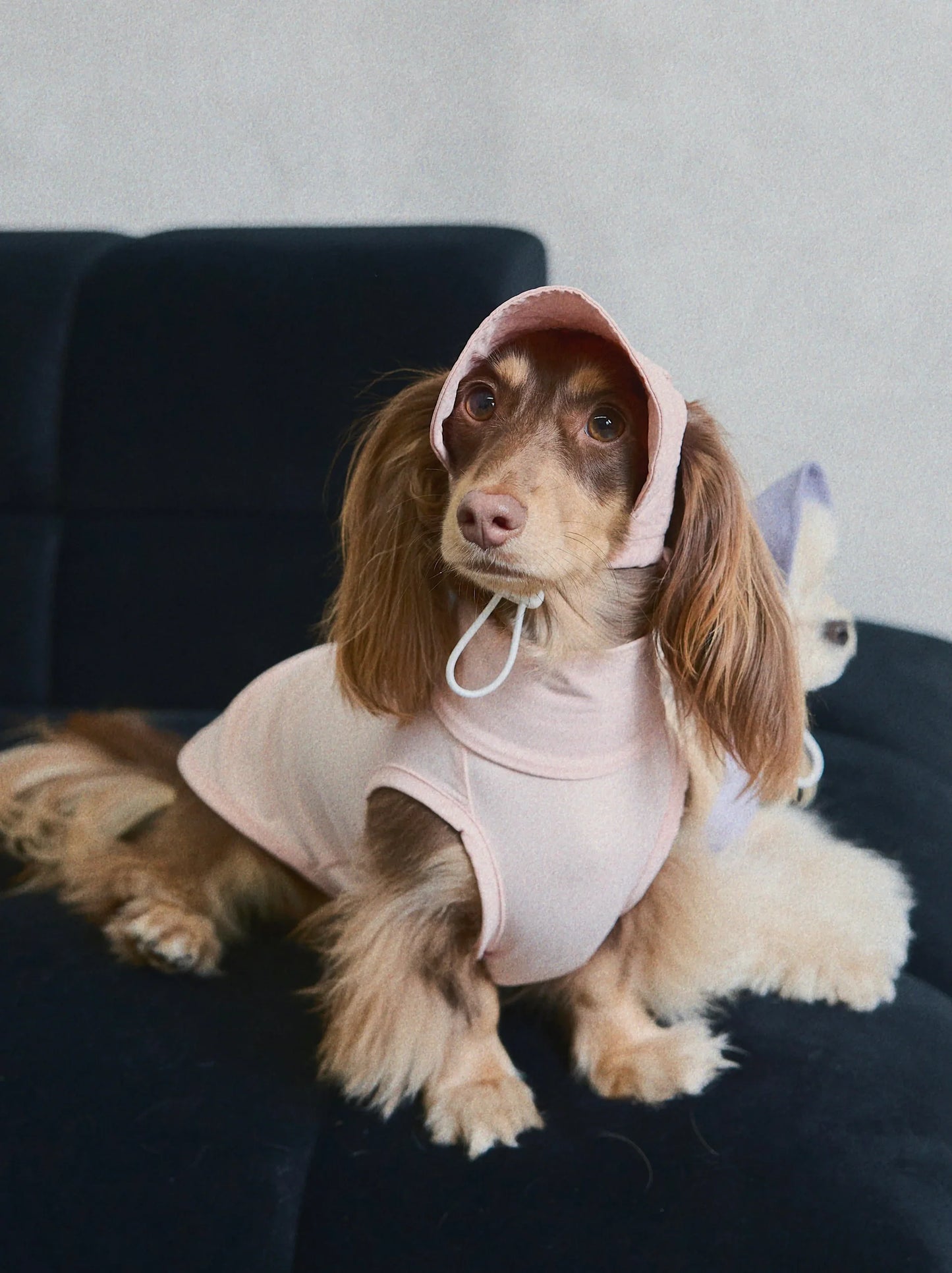 CUDS DOG COOLING HAT | Pink Bunny