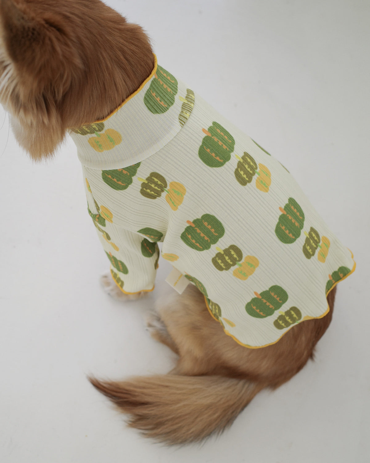 PUMPKIN LETTUCE TEE