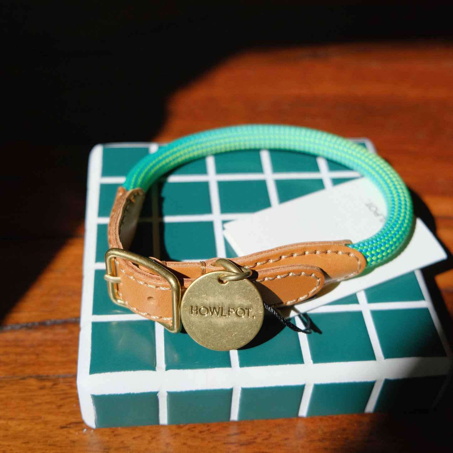 WE ARE TIGHT COLLAR | Reef Lime