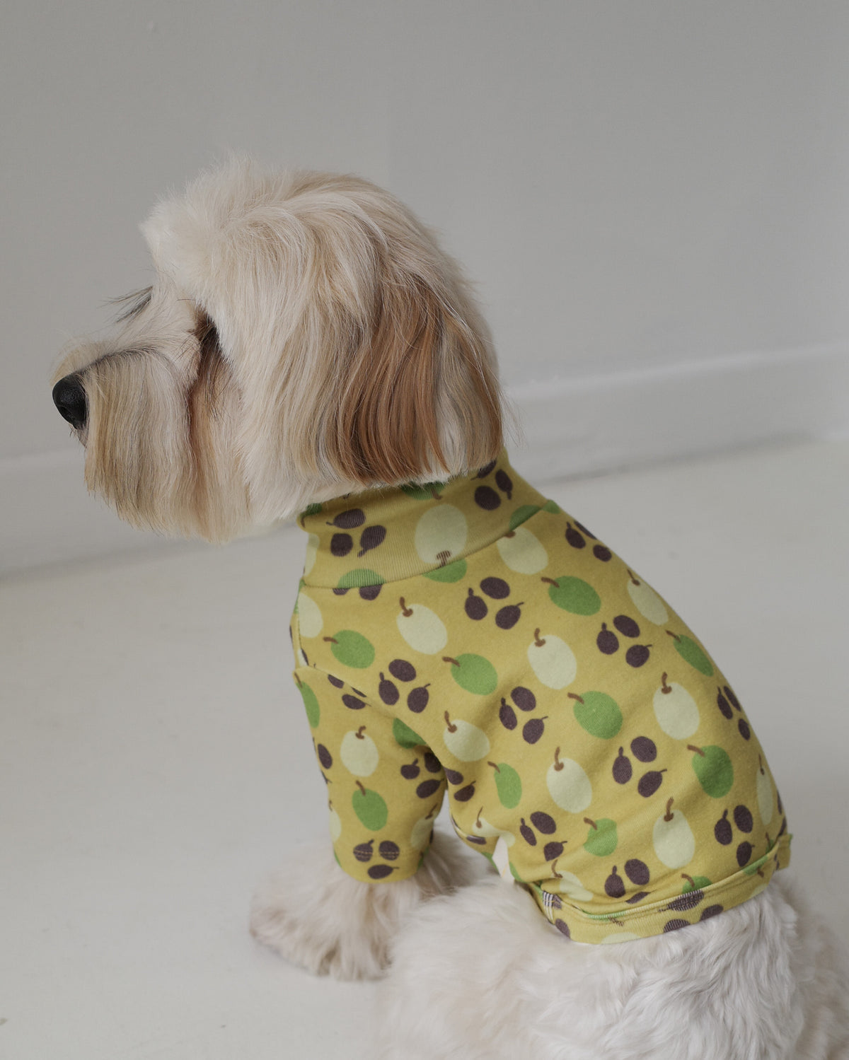 OLIVE TURTLENECK TOP | Olive