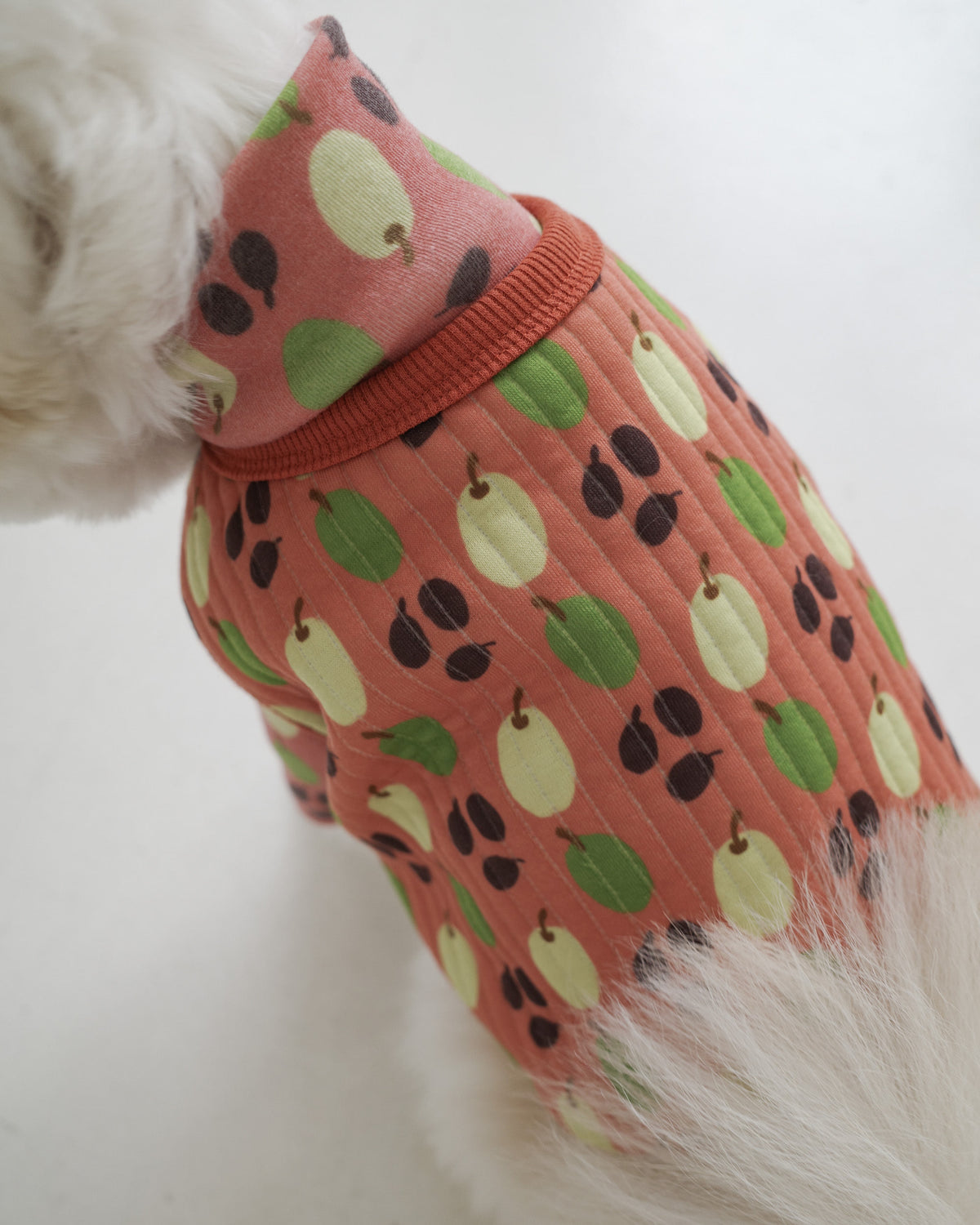 OLIVE TURTLENECK TOP | Coral