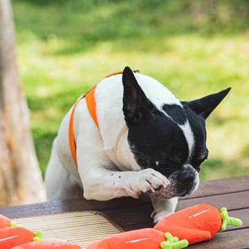RED PEPPER