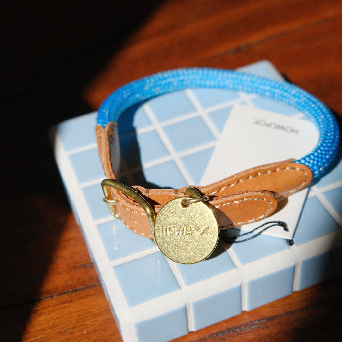WE ARE TIGHT COLLAR | Bondi Blue
