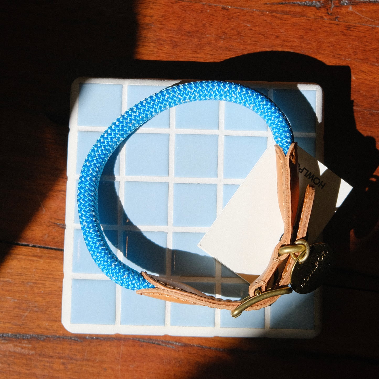 WE ARE TIGHT COLLAR | Bondi Blue