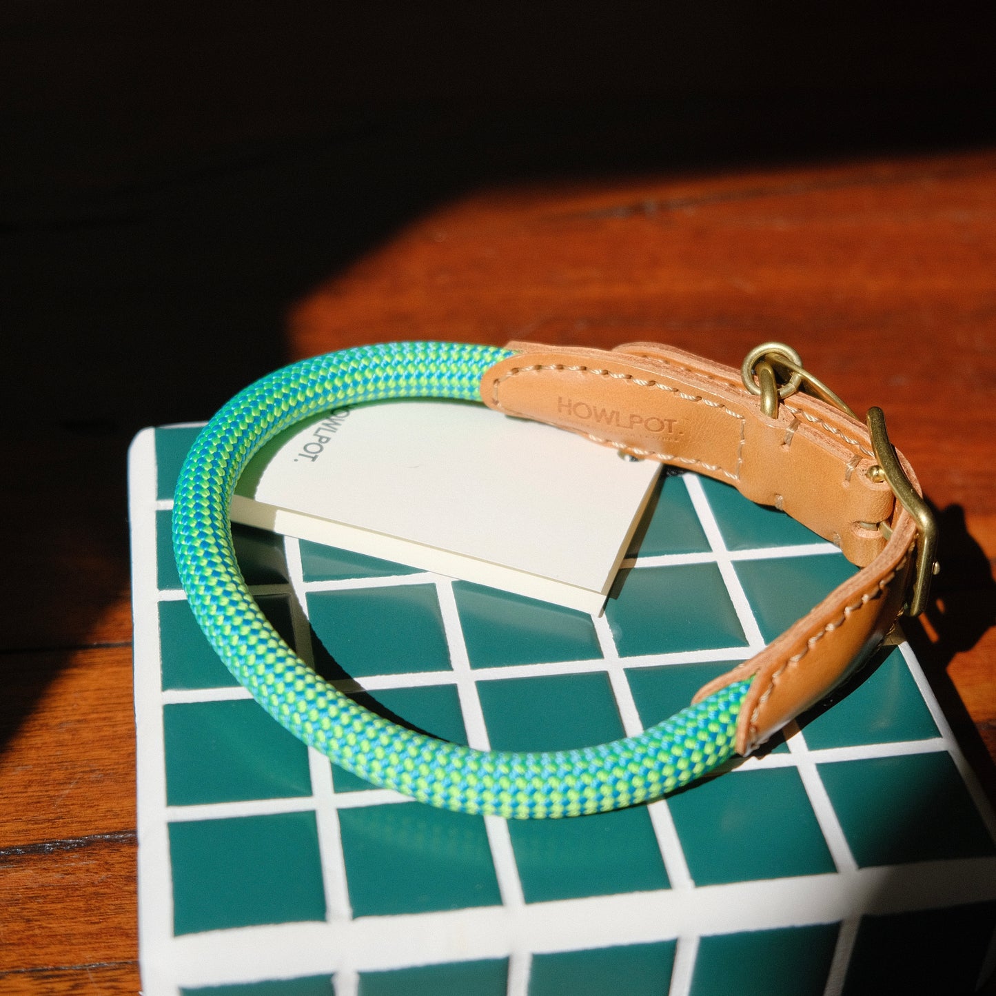 WE ARE TIGHT COLLAR | Reef Lime
