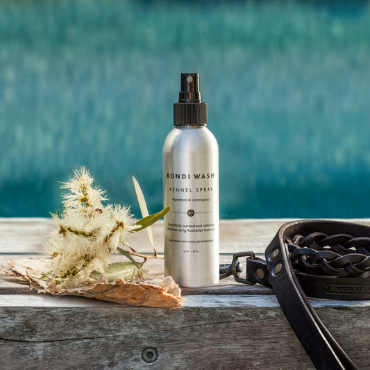 Bondi Wash - KENNEL SPRAY